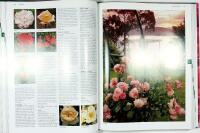 Botanica ROSOR &ndash; Encyklopedi &ouml;ver tr&auml;dg&aring;rds- och vildrosor