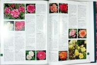 Botanica ROSOR &ndash; Encyklopedi &ouml;ver tr&auml;dg&aring;rds- och vildrosor