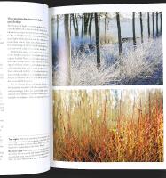 RHS &ndash; The WINTER GARDEN &ndash; Celebrating the Forgotten Season