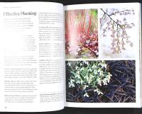 RHS &ndash; The WINTER GARDEN &ndash; Celebrating the Forgotten Season