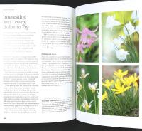 RHS &ndash; The WINTER GARDEN &ndash; Celebrating the Forgotten Season