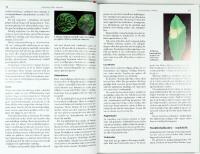 V&Auml;XTSKYDD I TR&Auml;DG&Aring;RD