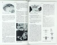 V&Auml;XTSKYDD I TR&Auml;DG&Aring;RD