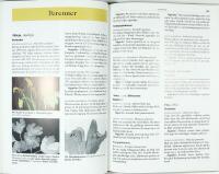 V&Auml;XTSKYDD I TR&Auml;DG&Aring;RD