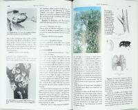 V&Auml;XTSKYDD I TR&Auml;DG&Aring;RD