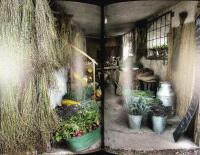 LANDERIET KATRINETORP &ndash; Historien, empiren, tr&auml;dg&aring;rden och den engelska parken under 1800-talet