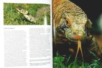 V&Auml;RLDENS GIFTIGASTE DJUR