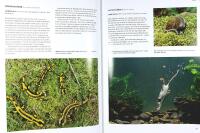 V&Auml;RLDENS GIFTIGASTE DJUR