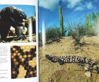 V&Auml;RLDENS GIFTIGASTE DJUR