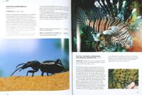 V&Auml;RLDENS GIFTIGASTE DJUR