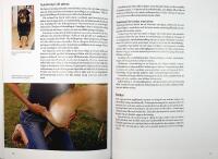 REHABILITERING F&Ouml;R HUND