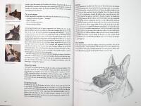 REHABILITERING F&Ouml;R HUND