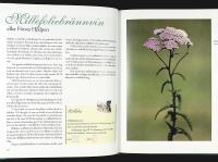 HIRKUM PIRKUM och andra br&auml;nnvinskryddningar