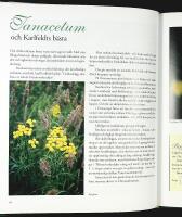 HIRKUM PIRKUM och andra br&auml;nnvinskryddningar