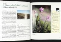 HIRKUM PIRKUM och andra br&auml;nnvinskryddningar