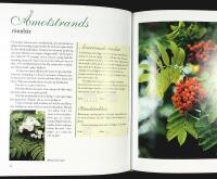 HIRKUM PIRKUM och andra br&auml;nnvinskryddningar