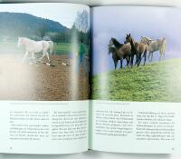 FRIHETSDRESSYR OCH CIRKUSLEKTIONER &ndash; En handbok f&ouml;r fritidsryttare