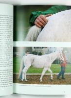 FRIHETSDRESSYR OCH CIRKUSLEKTIONER &ndash; En handbok f&ouml;r fritidsryttare