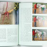 FRIHETSDRESSYR OCH CIRKUSLEKTIONER &ndash; En handbok f&ouml;r fritidsryttare