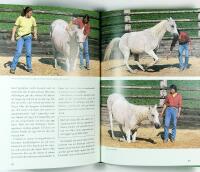 FRIHETSDRESSYR OCH CIRKUSLEKTIONER &ndash; En handbok f&ouml;r fritidsryttare