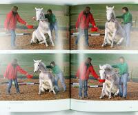 FRIHETSDRESSYR OCH CIRKUSLEKTIONER &ndash; En handbok f&ouml;r fritidsryttare