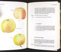 V&Aring;RA &Auml;PPLESORTER &ndash; Deras historia, egenskaper och k&auml;nnetecken