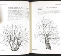 V&Aring;RA &Auml;PPLESORTER &ndash; Deras historia, egenskaper och k&auml;nnetecken