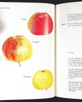 V&Aring;RA &Auml;PPLESORTER &ndash; Deras historia, egenskaper och k&auml;nnetecken