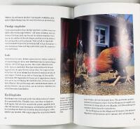 H&Ouml;NS I TR&Auml;DG&Aring;RD