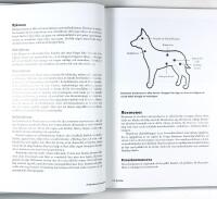 PROBLEMHUND OCH HUNDPROBLEM &ndash; Om hundens normala och onormala beteenden