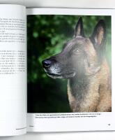 PROBLEMHUND OCH HUNDPROBLEM &ndash; Om hundens normala och onormala beteenden