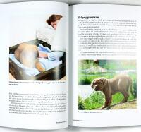 PROBLEMHUND OCH HUNDPROBLEM &ndash; Om hundens normala och onormala beteenden