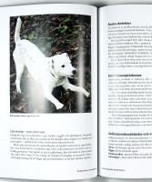 PROBLEMHUND OCH HUNDPROBLEM &ndash; Om hundens normala och onormala beteenden