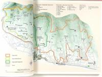 AMARONE och vinerna fr&aring;n Valpolicella