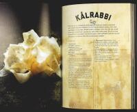 FERMENTERA 2.0 &ndash; Gr&ouml;nt med goda bakterier