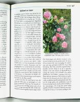 BEVARA OCH SK&Ouml;TA EN GAMMAL TR&Auml;DG&Aring;RD