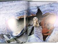 ELD&Ouml;GON &ndash; M&ouml;ten med Sveriges ugglor