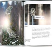 ELD&Ouml;GON &ndash; M&ouml;ten med Sveriges ugglor