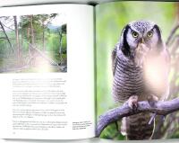 ELD&Ouml;GON &ndash; M&ouml;ten med Sveriges ugglor