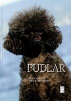 PUDLAR