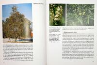 TR&Auml;DG&Aring;RD I KALLT KLIMAT