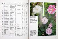 TR&Auml;DG&Aring;RD I KALLT KLIMAT