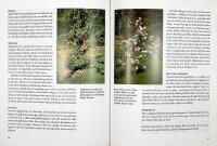 TR&Auml;DG&Aring;RD I KALLT KLIMAT