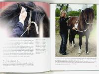 HORSEMANSHIP FR&Aring;N GRUNDEN