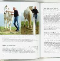 HORSEMANSHIP FR&Aring;N GRUNDEN