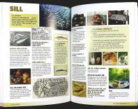 Nytt fr&aring;n BILDNINGSAKUTEN &ndash; Bli expert p&aring; 5 minuter