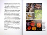 SVENSKA TR&Auml;D &ndash; Uppt&auml;ck, k&auml;nn igen och anv&auml;nd