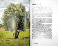 SVENSKA TR&Auml;D &ndash; Uppt&auml;ck, k&auml;nn igen och anv&auml;nd