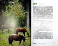 SVENSKA TR&Auml;D &ndash; Uppt&auml;ck, k&auml;nn igen och anv&auml;nd