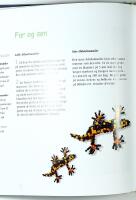 PERLEDYR &ndash; (P&auml;rldjur)